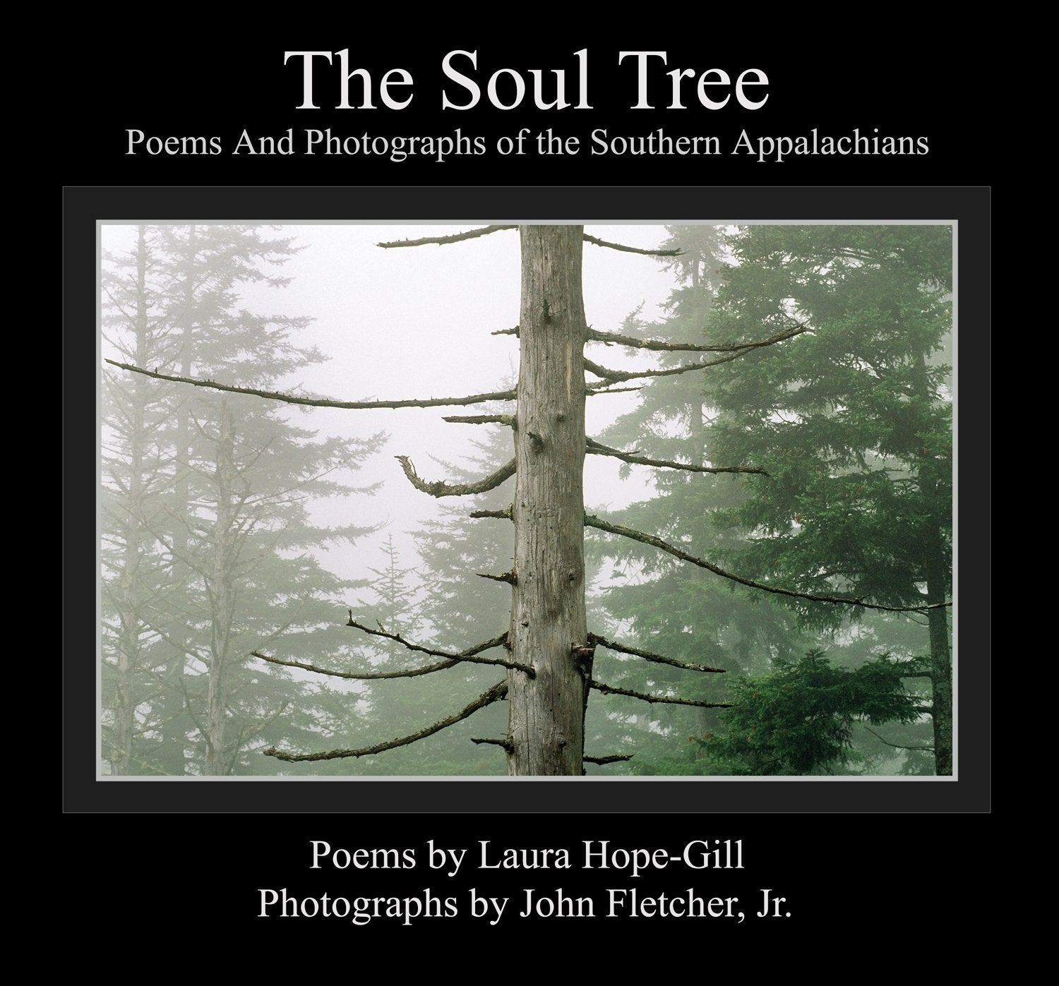The Soul Tree: Poems and Photographs of the Southern Appalachians,Used