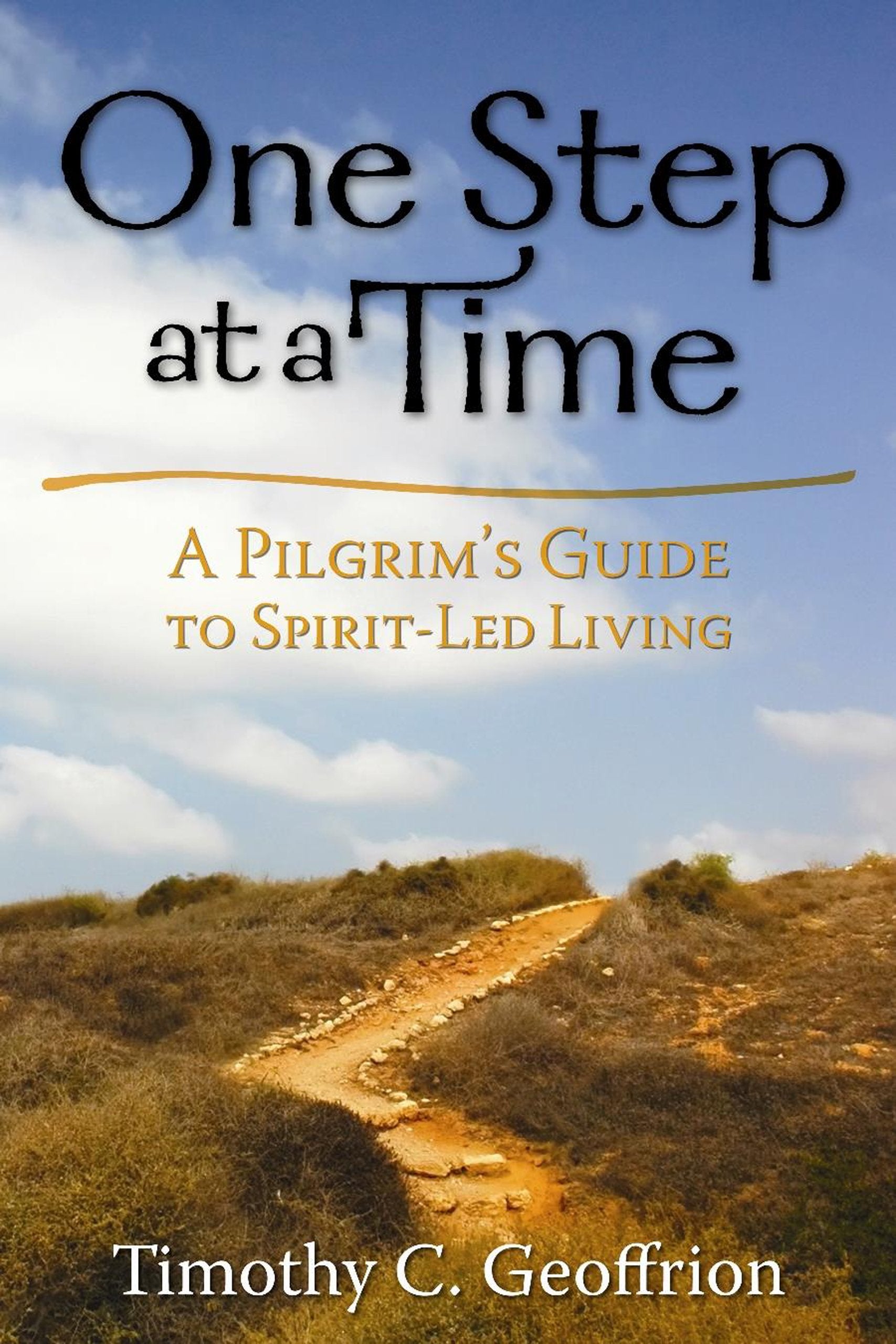 One Step at a Time: A Pilgrim's Guide to SpiritLed Living,Used