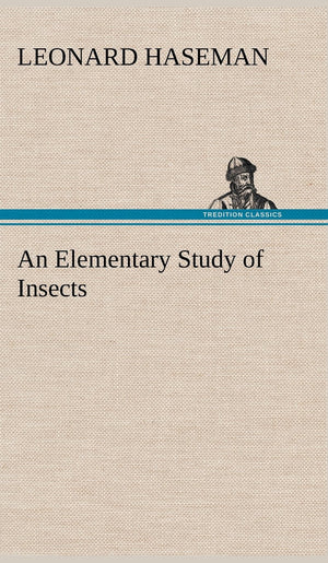 An Elementary Study of Insects,Used