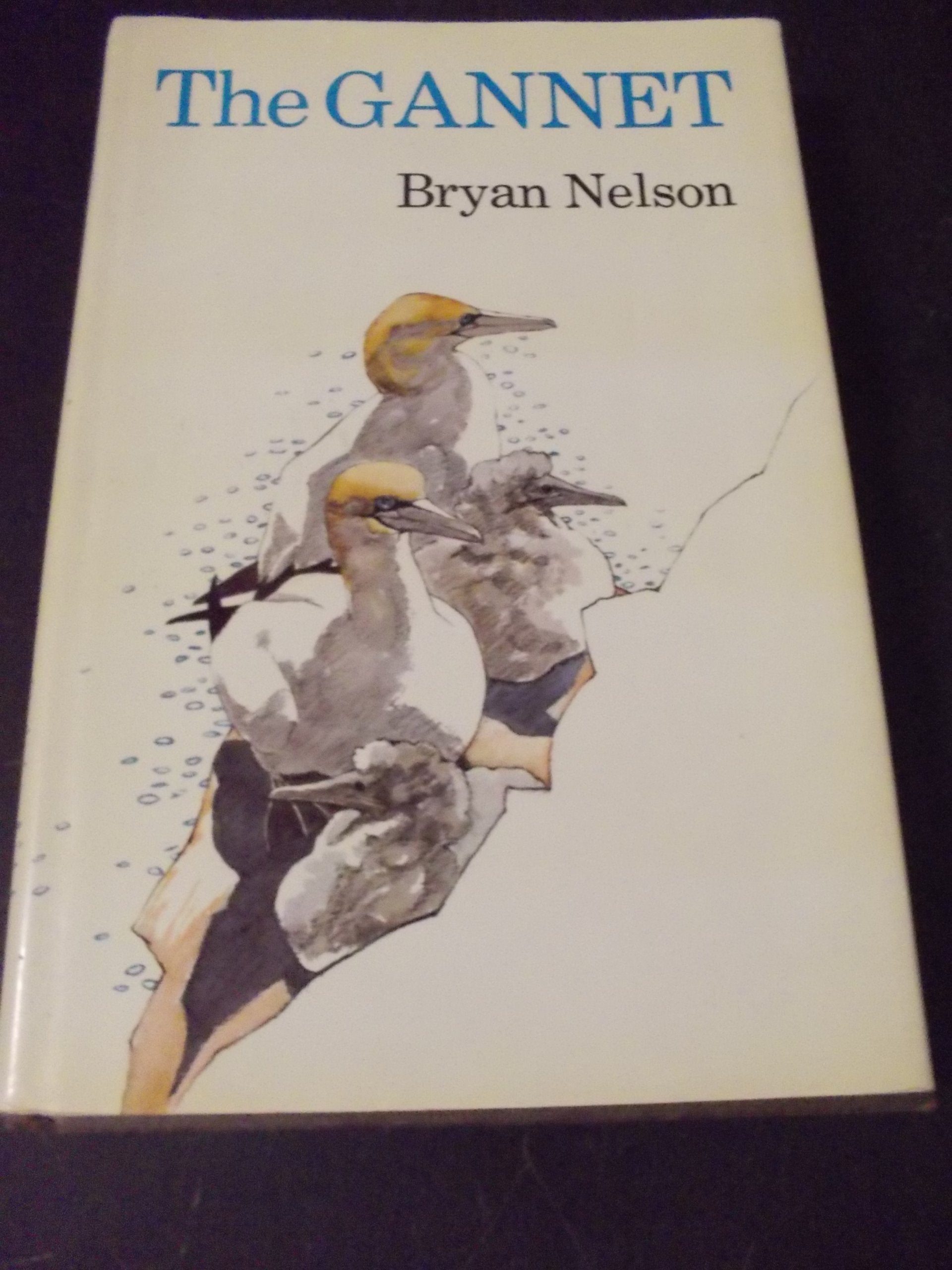 The Gannet,New