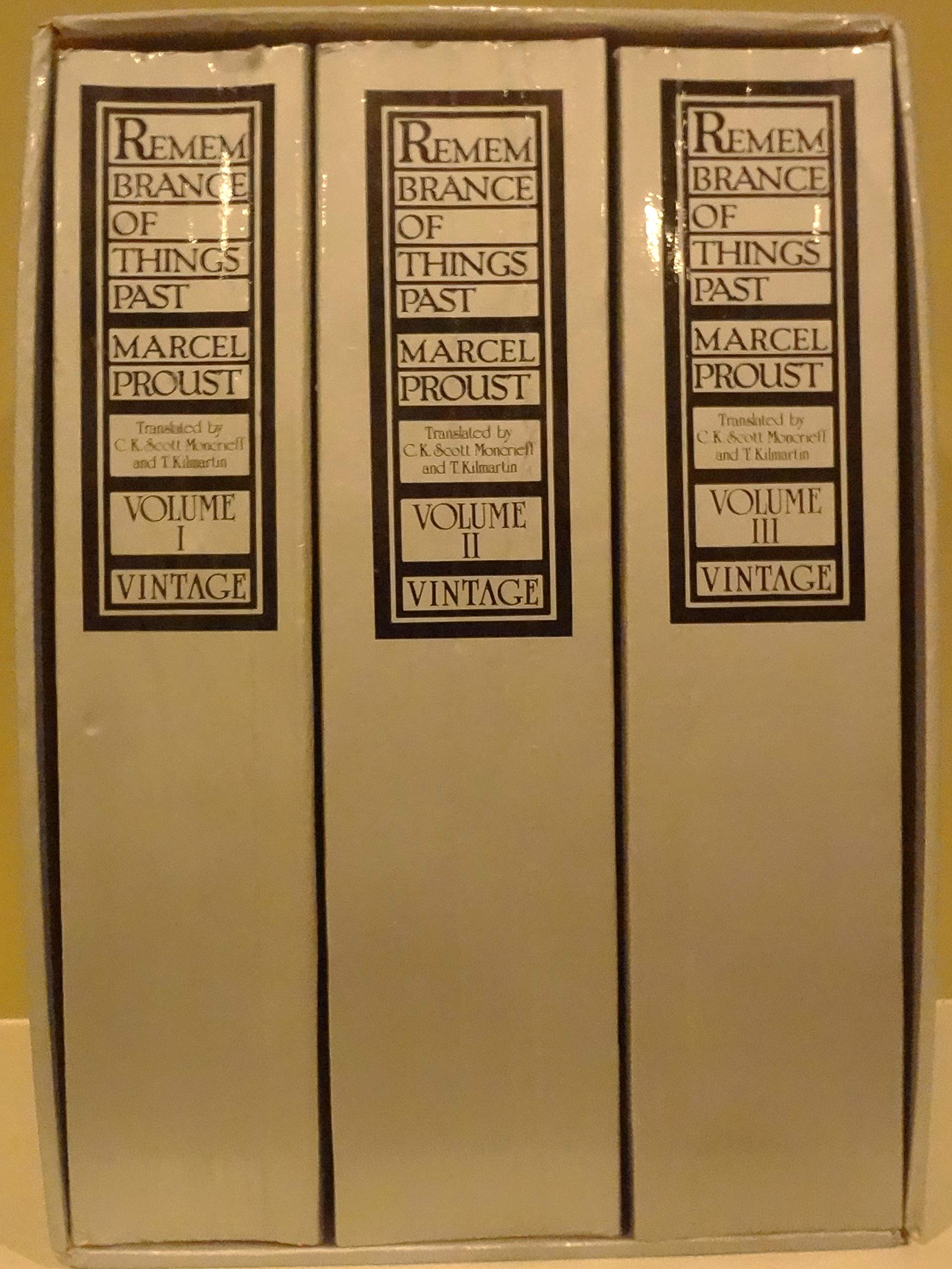 Remembrance Of Things Past: 3 Volume Set