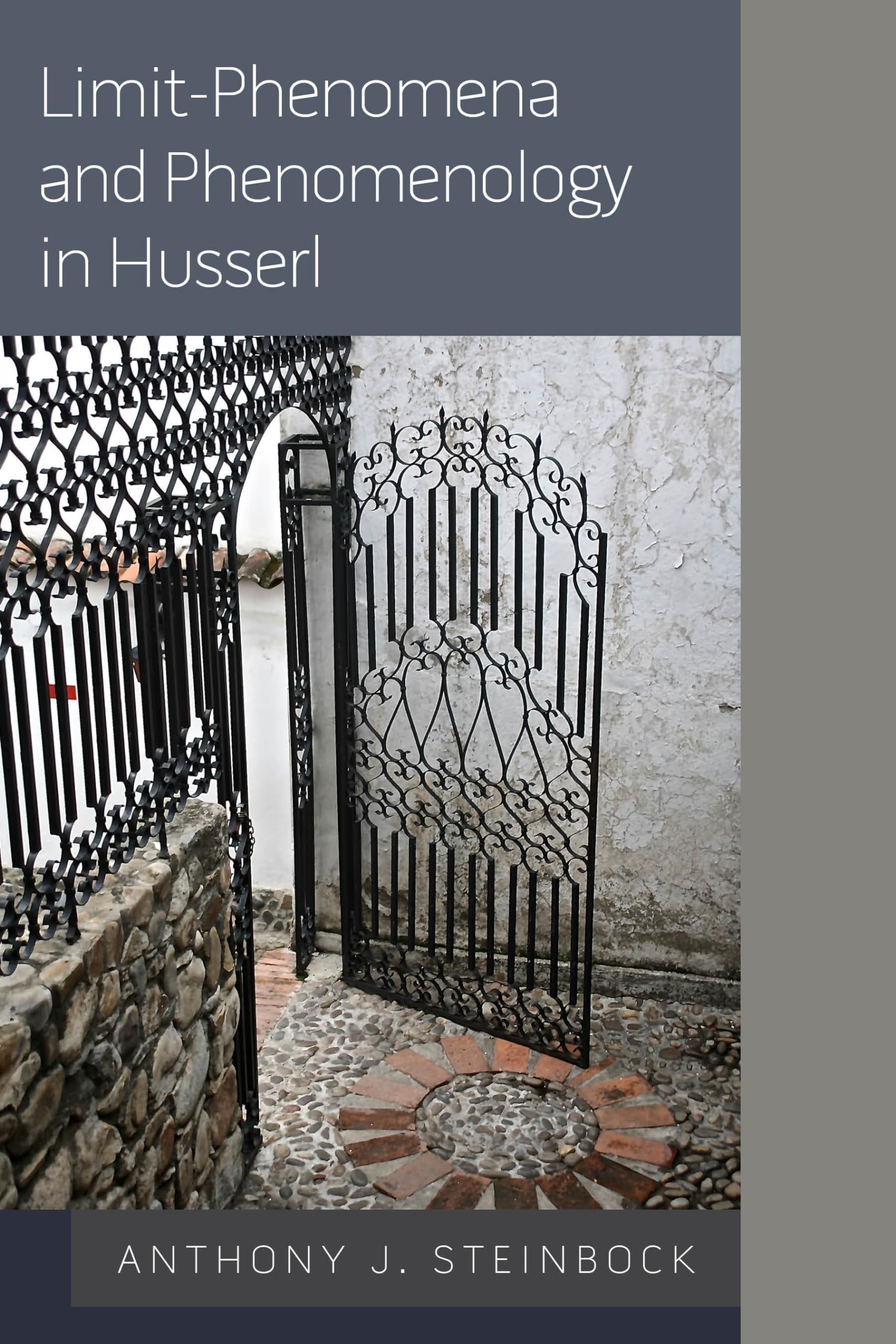LimitPhenomena and Phenomenology in Husserl,Used