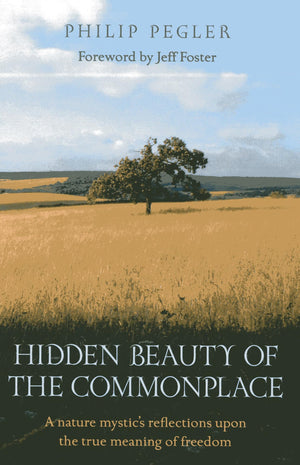 Hidden Beauty of the Commonplace: A Nature Mystic's Reflections upon the True Meaning of Freedom,Used