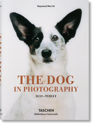 The Dog In Photography / Der Hund In Der Fotografie / Le Chien Dans La Photographie: 1839Today