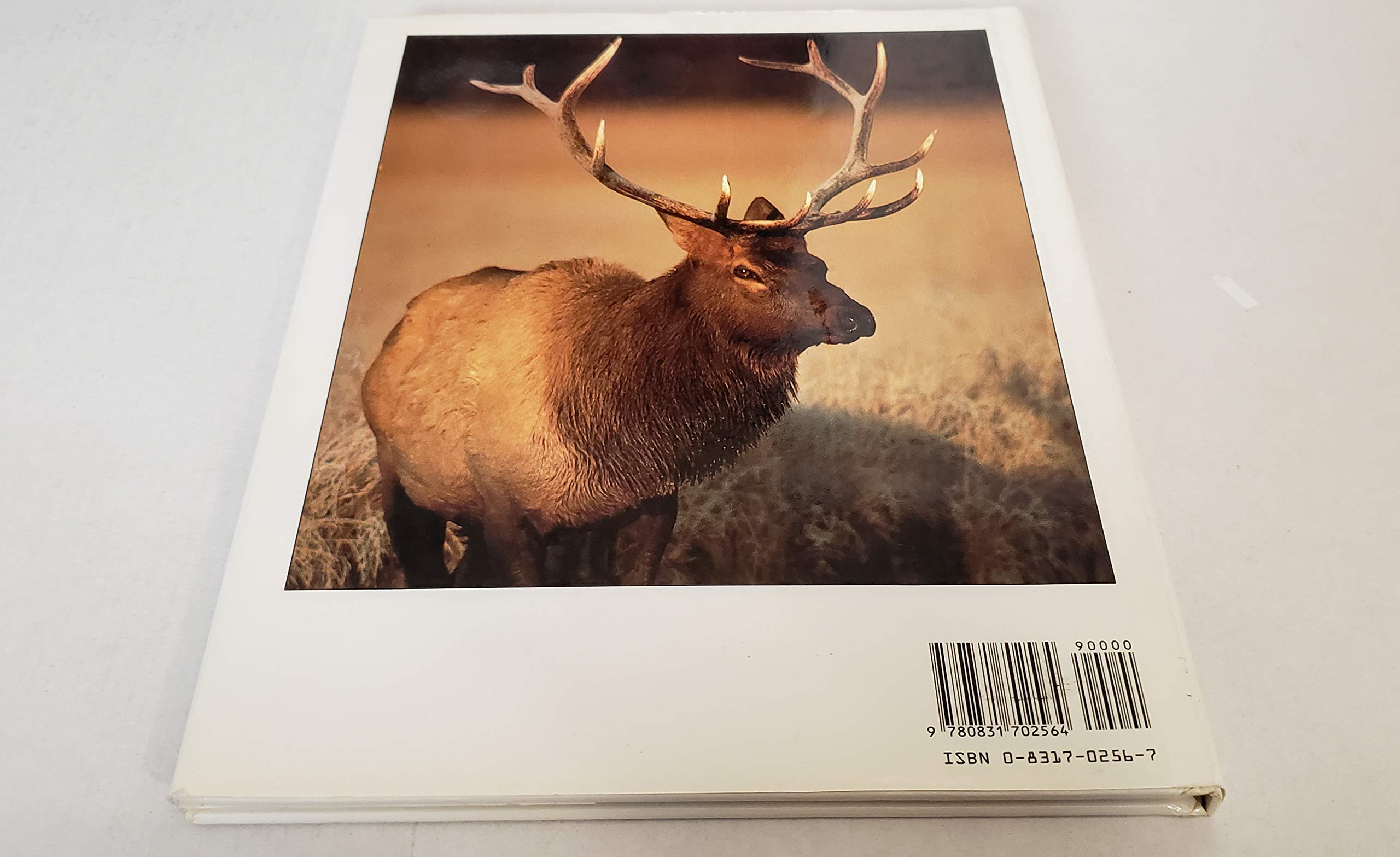 Yellowstone and Grand Teton National Parks (American Traveler),Used