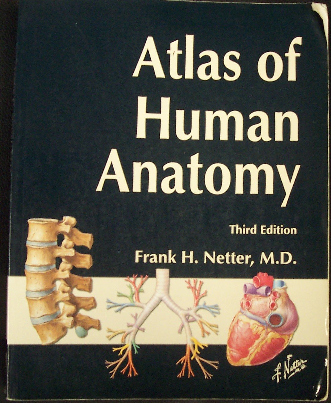 Atlas Of Human Anatomy, Third Edition