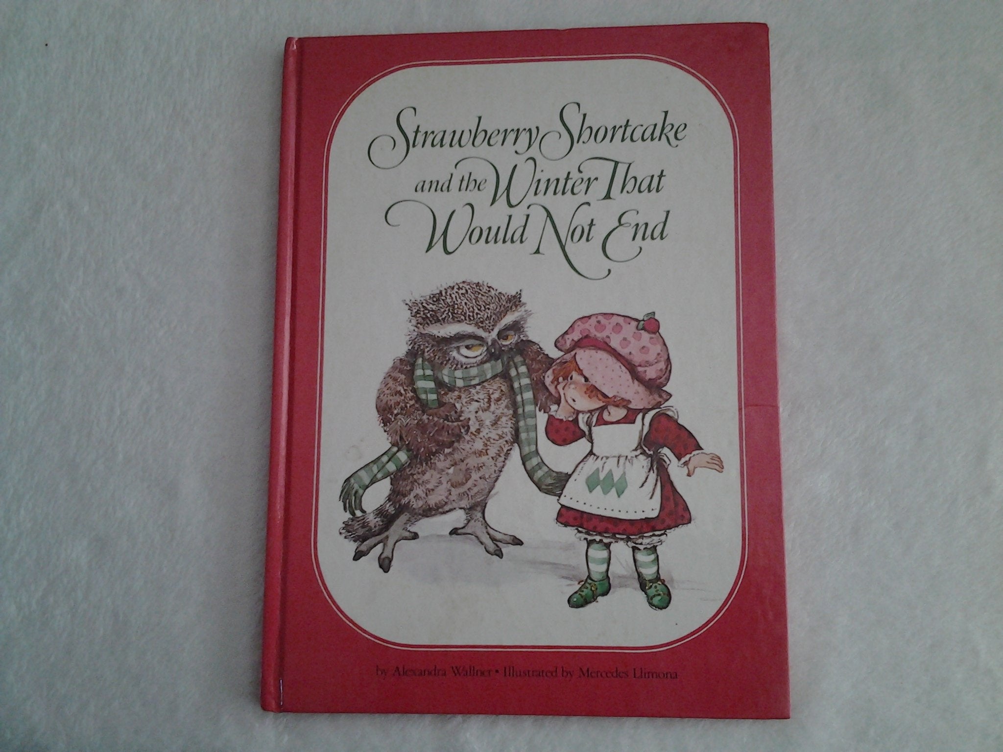 Strawberry Shortcake and the Winter That Would Not End,Used