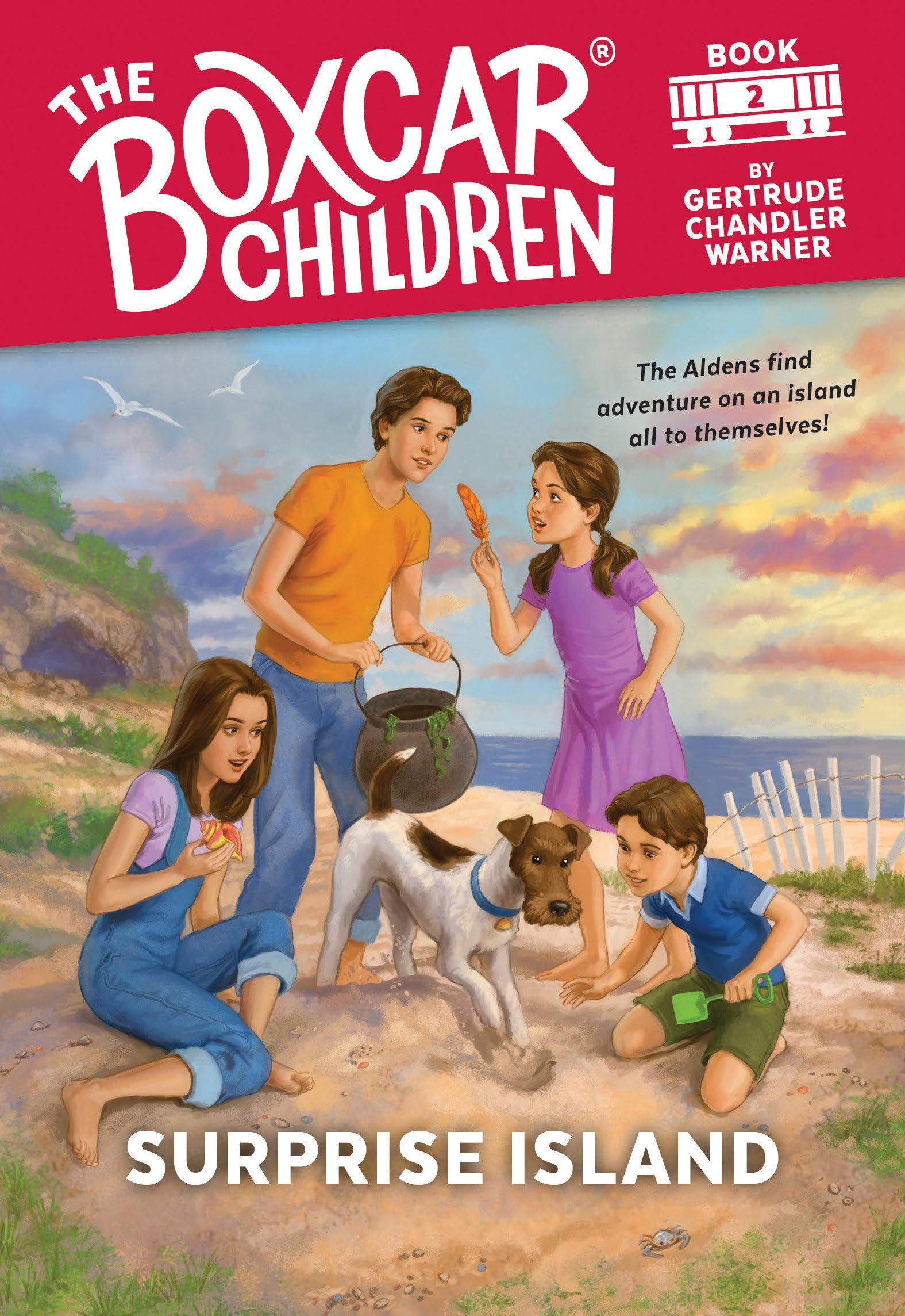 Surprise Island (The Boxcar Children Mysteries),Used