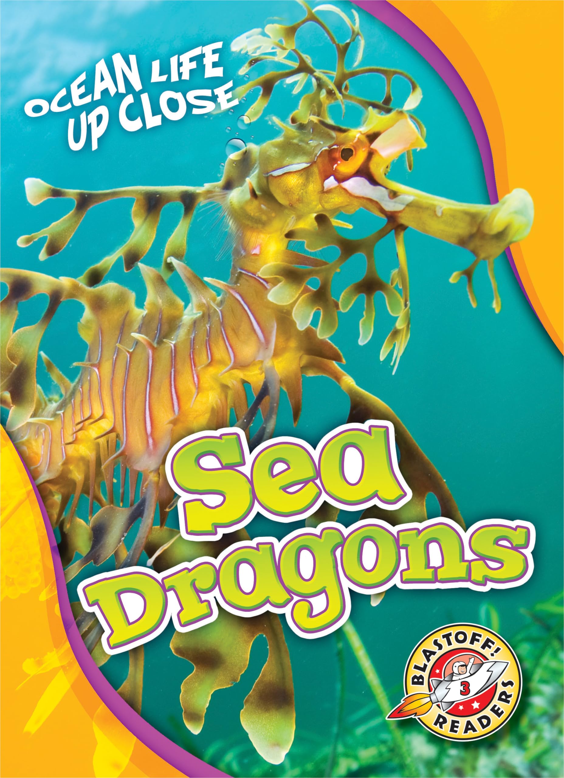 Sea Dragons (Ocean Life Up Close),New