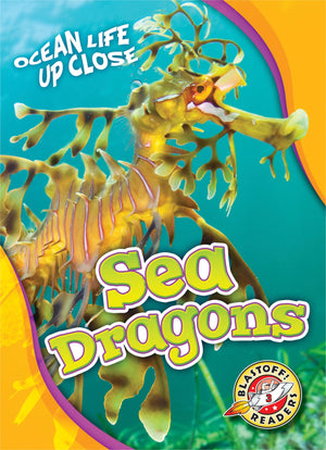 Sea Dragons (Ocean Life Up Close),New