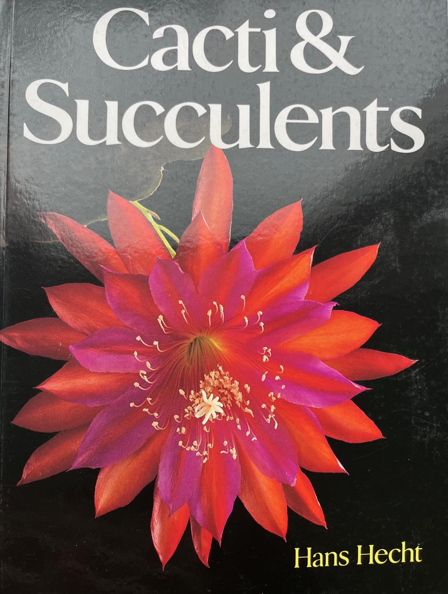 Cacti & Succulents,Used