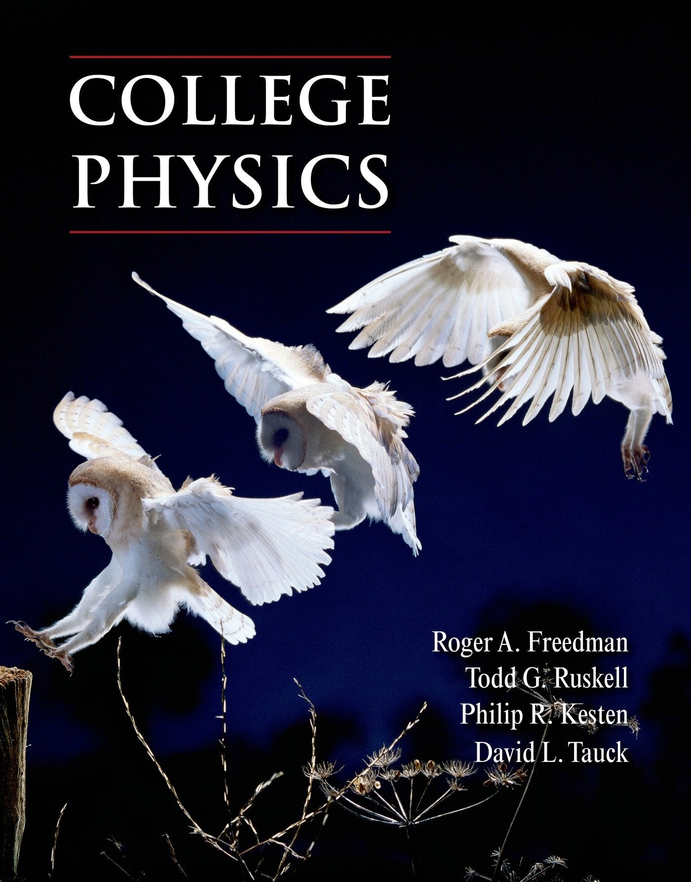College Physics,New