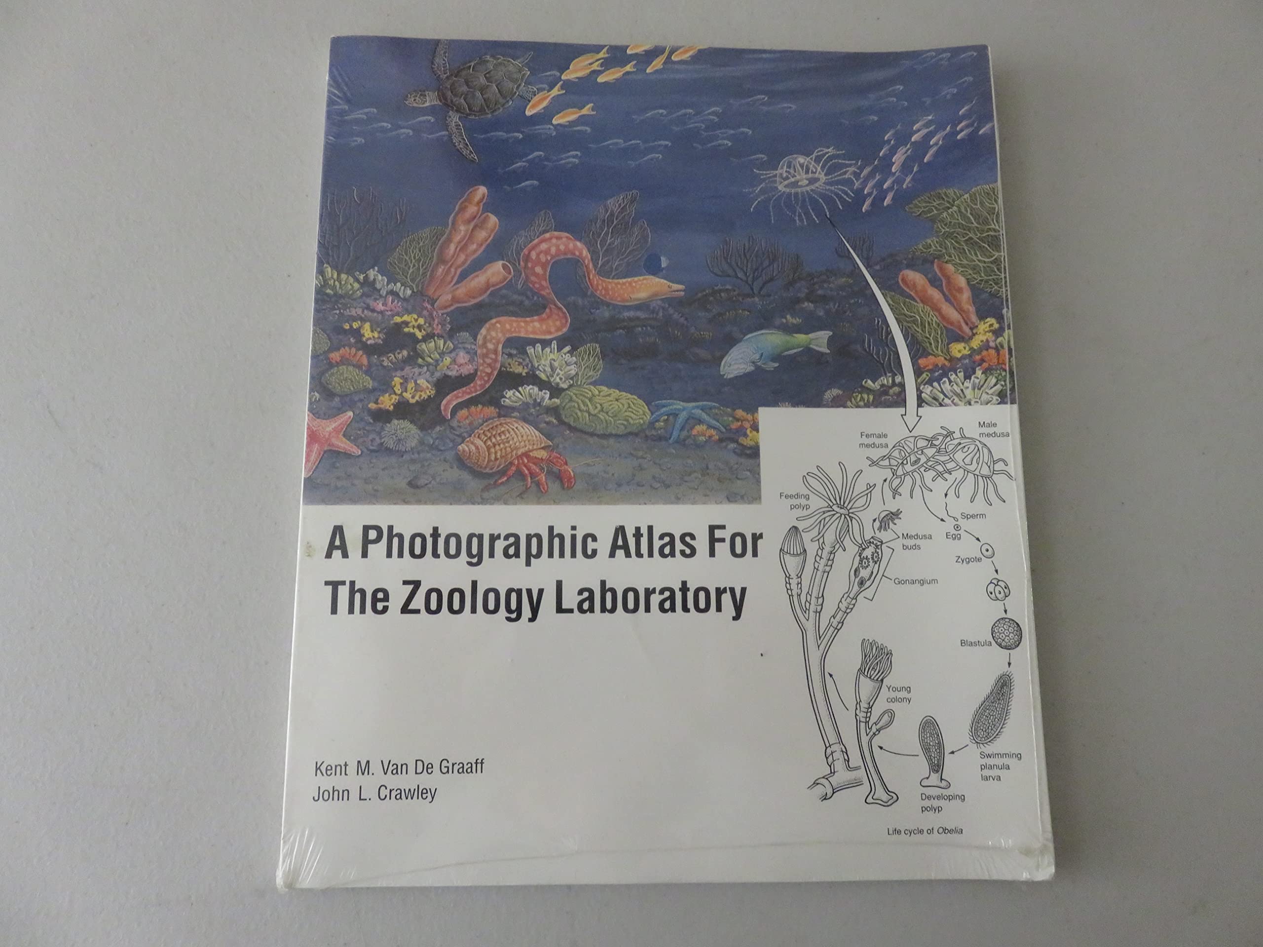 A Photographic Atlas for the Zoology Laboratory,Used