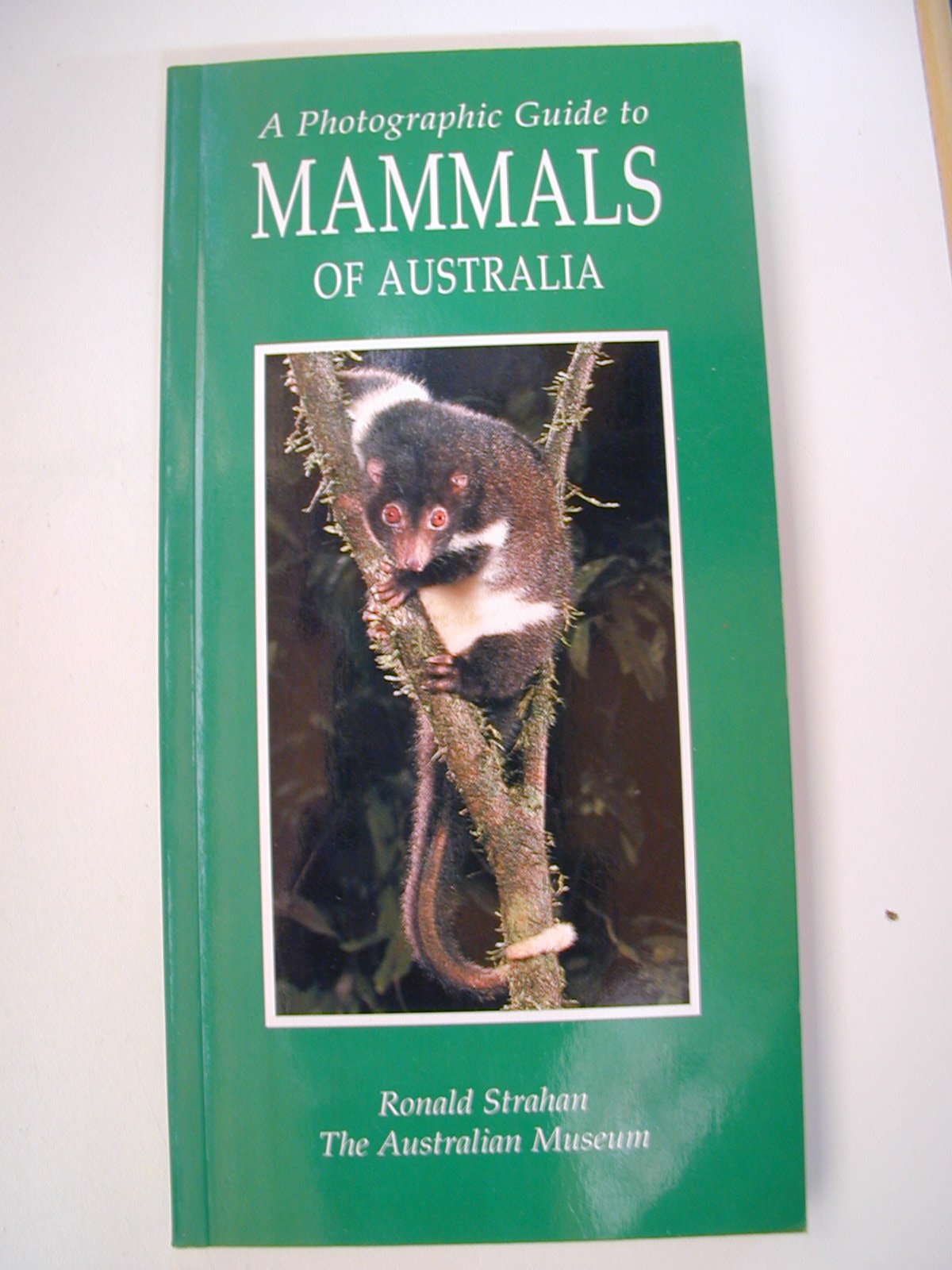 A Photographic Guide to Mammals of Australia