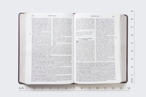 RVR60, Biblia de Estudio de la vida plena, Leathersoft Italian Duotone, Caf (Spanish Edition),Used