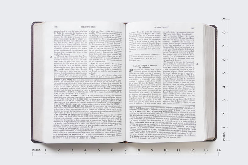 RVR60, Biblia de Estudio de la vida plena, Leathersoft Italian Duotone, Caf (Spanish Edition),Used