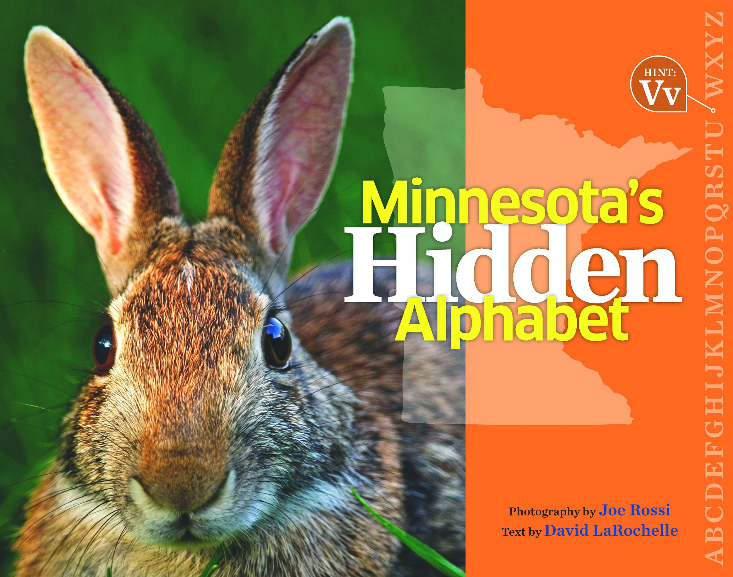 Minnesota's Hidden Alphabet,Used