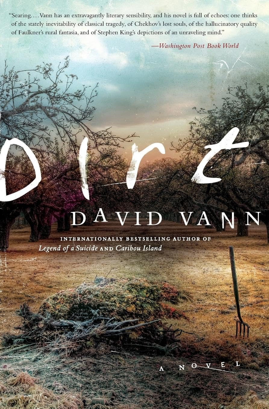 Dirt: A Novel,Used