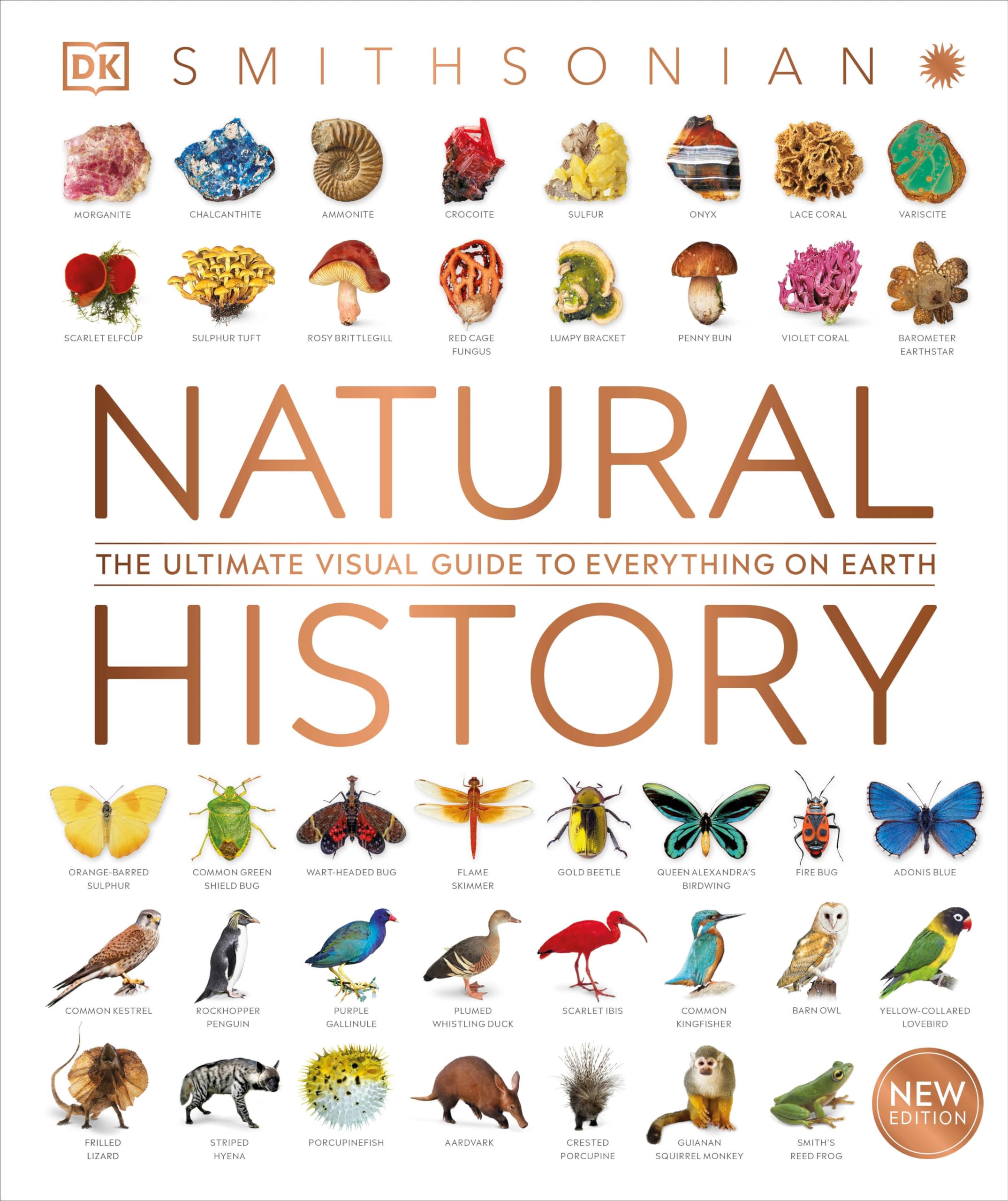 Natural History (Dk Definitive Visual Encyclopedias),New