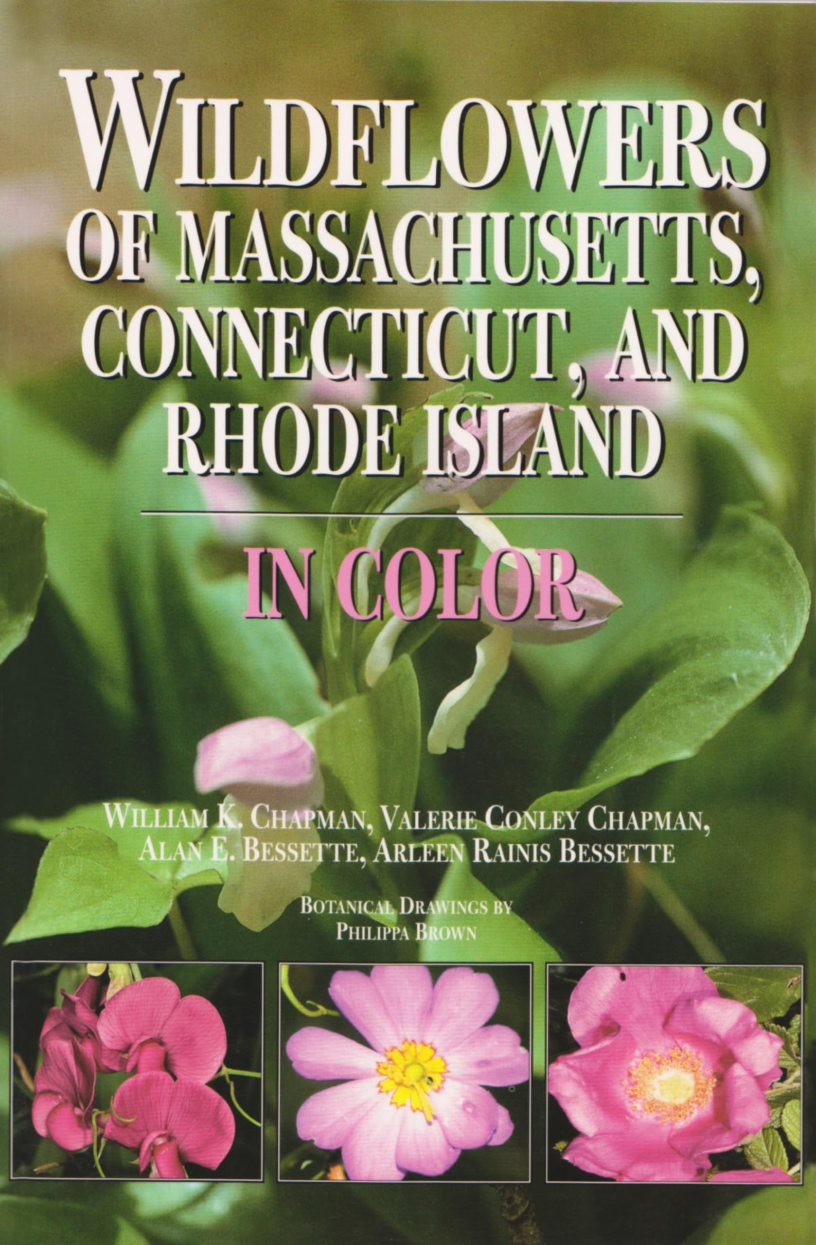 Wildflowers Of Massachusetts, Connecticut, And Rhode Island In Color,New