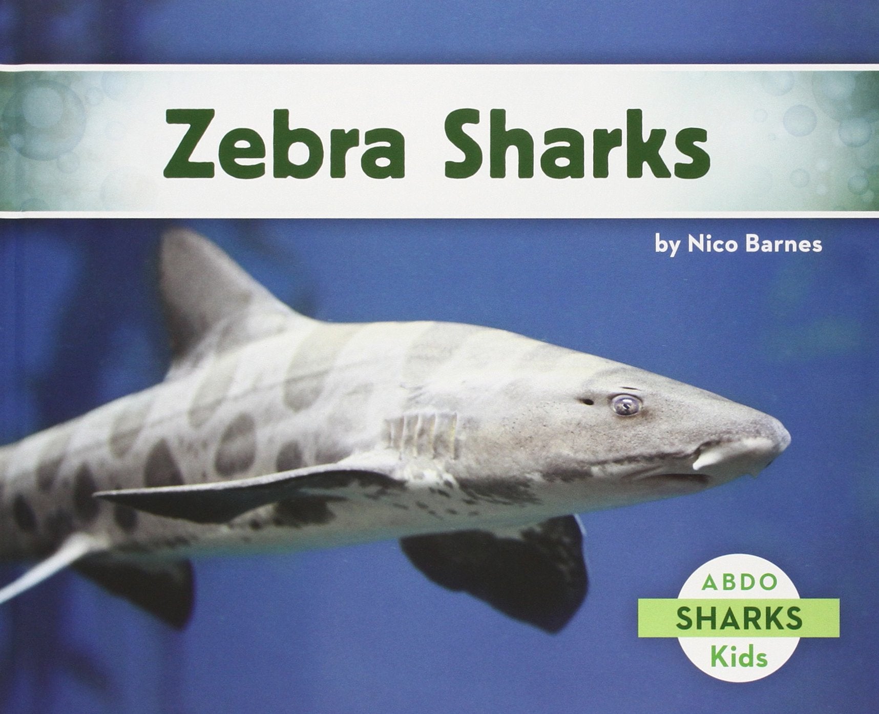 Zebra Sharks,Used