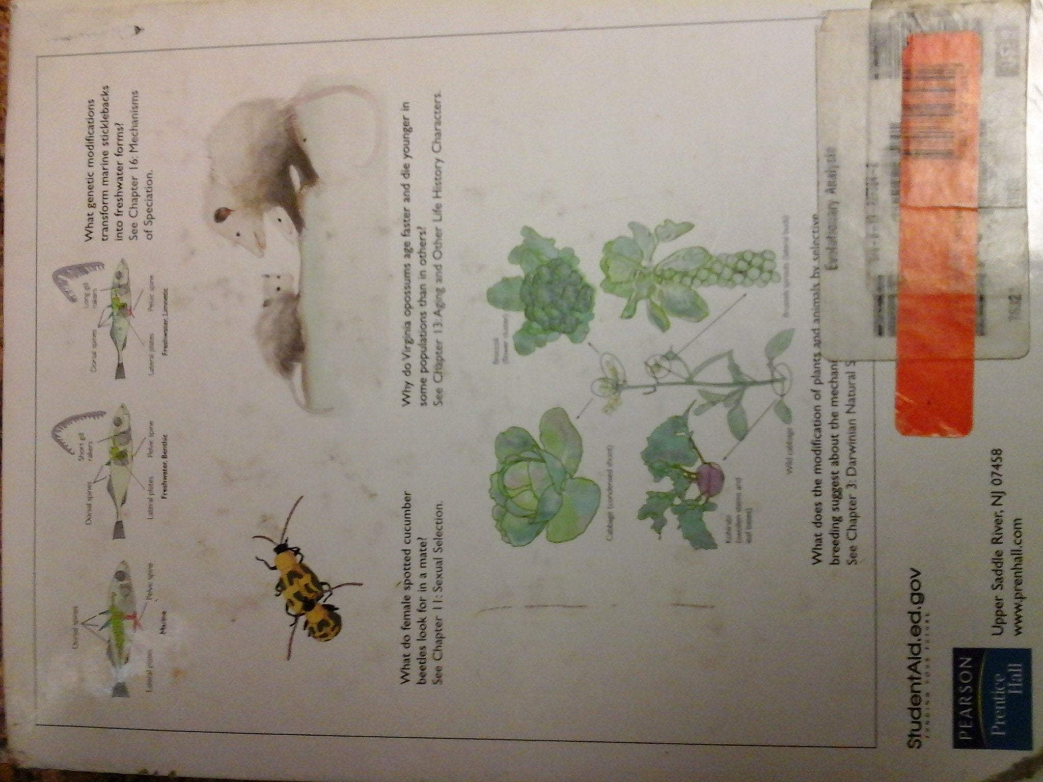 Evolutionary Analysis,New