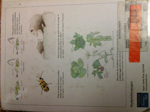 Evolutionary Analysis,New