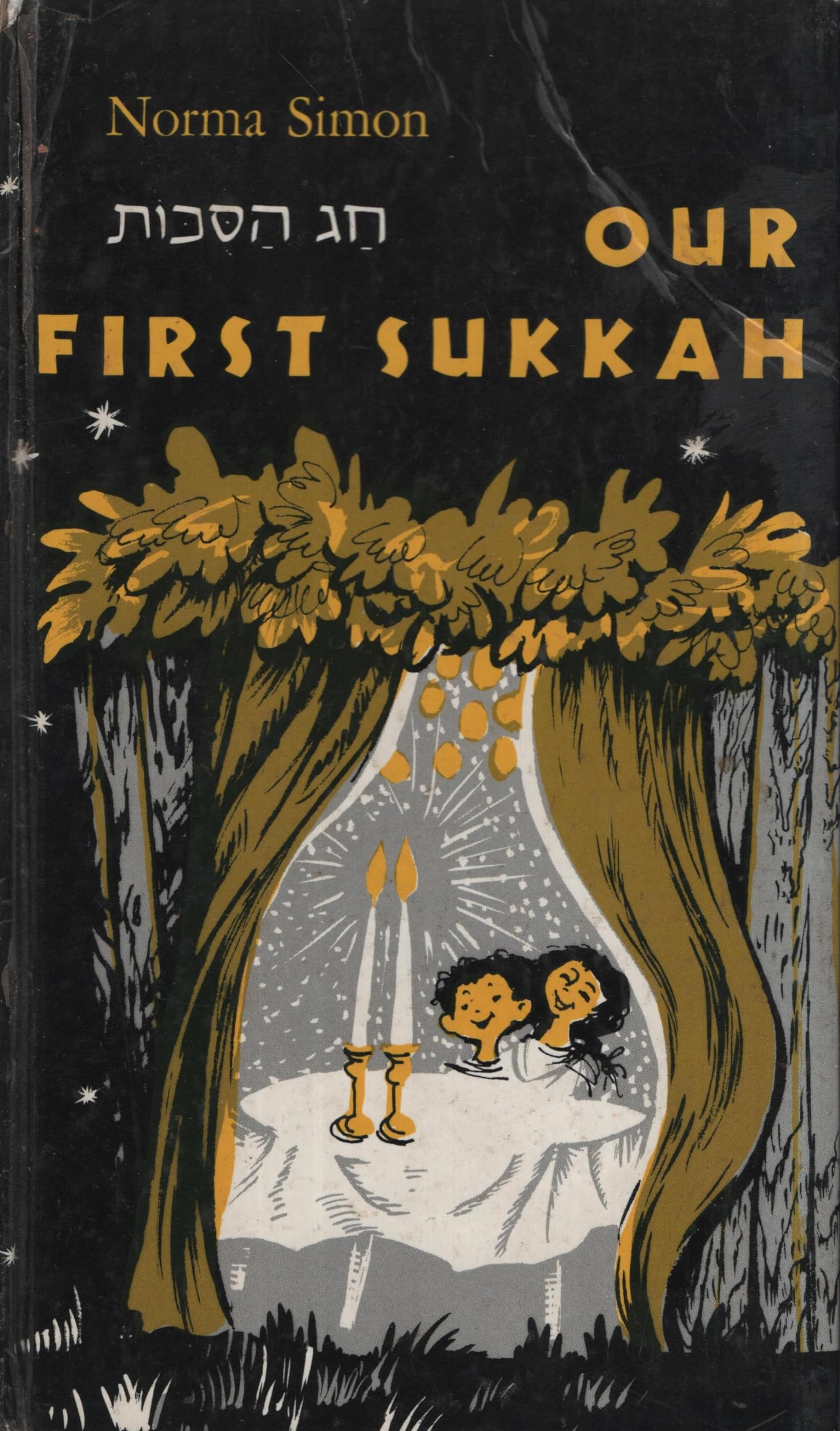 Our First Sukkah,Used