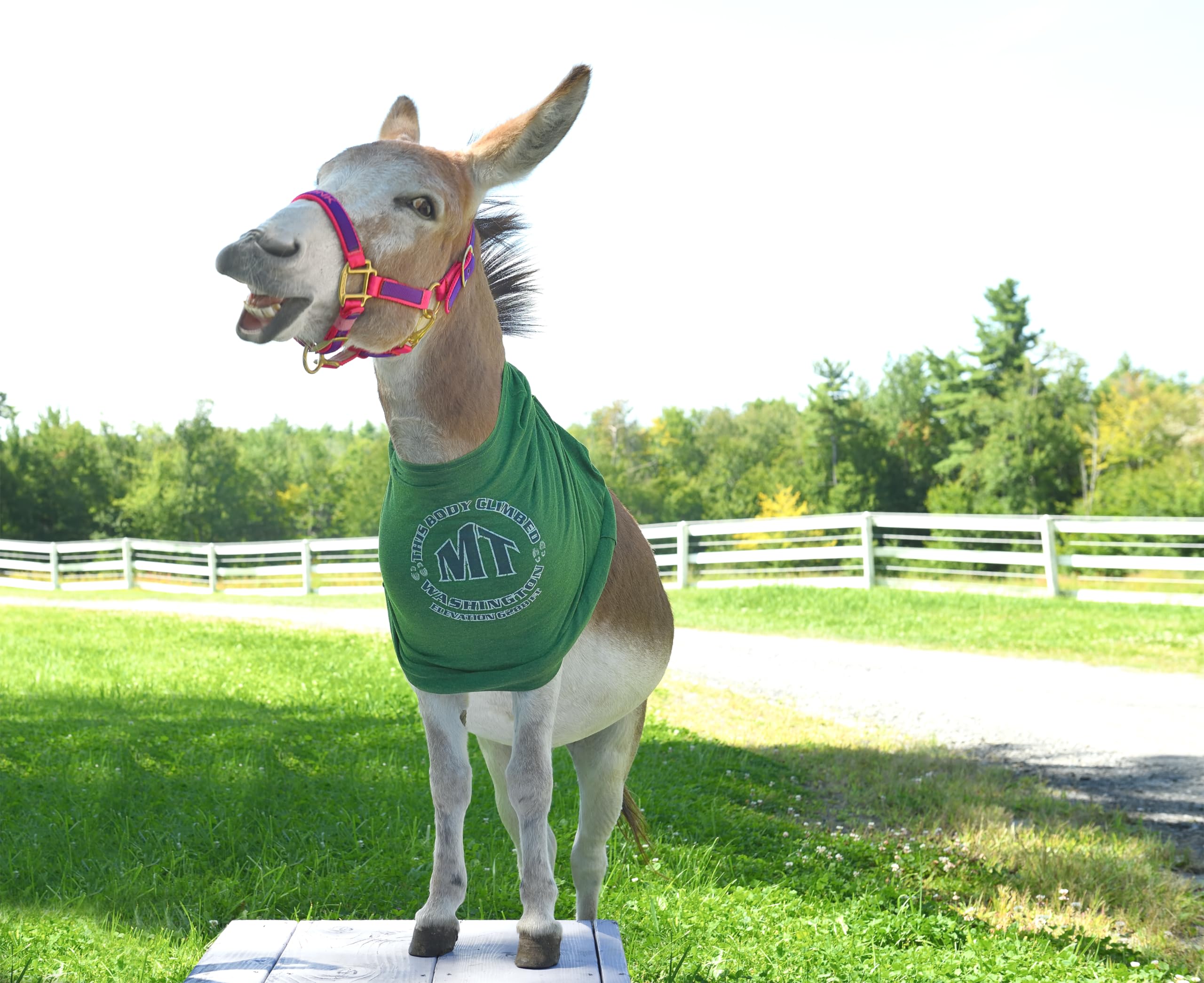 Take A Hike! A DonkeyDonk Story (DonkeyDonk Series, Book 3) (The DonkeyDonk Series),Used