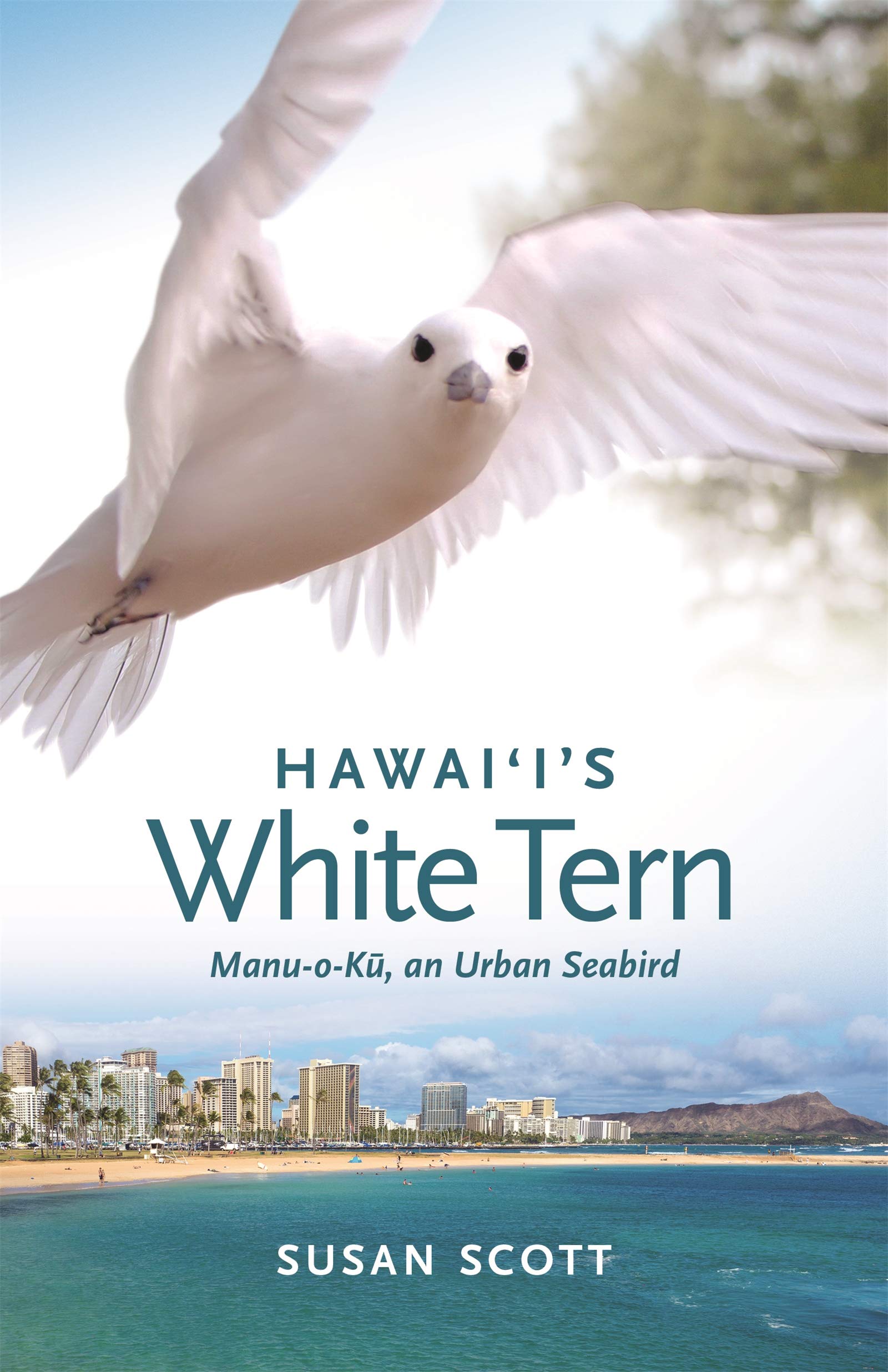 Hawaiis White Tern: ManuoKu, an Urban Seabird,Used