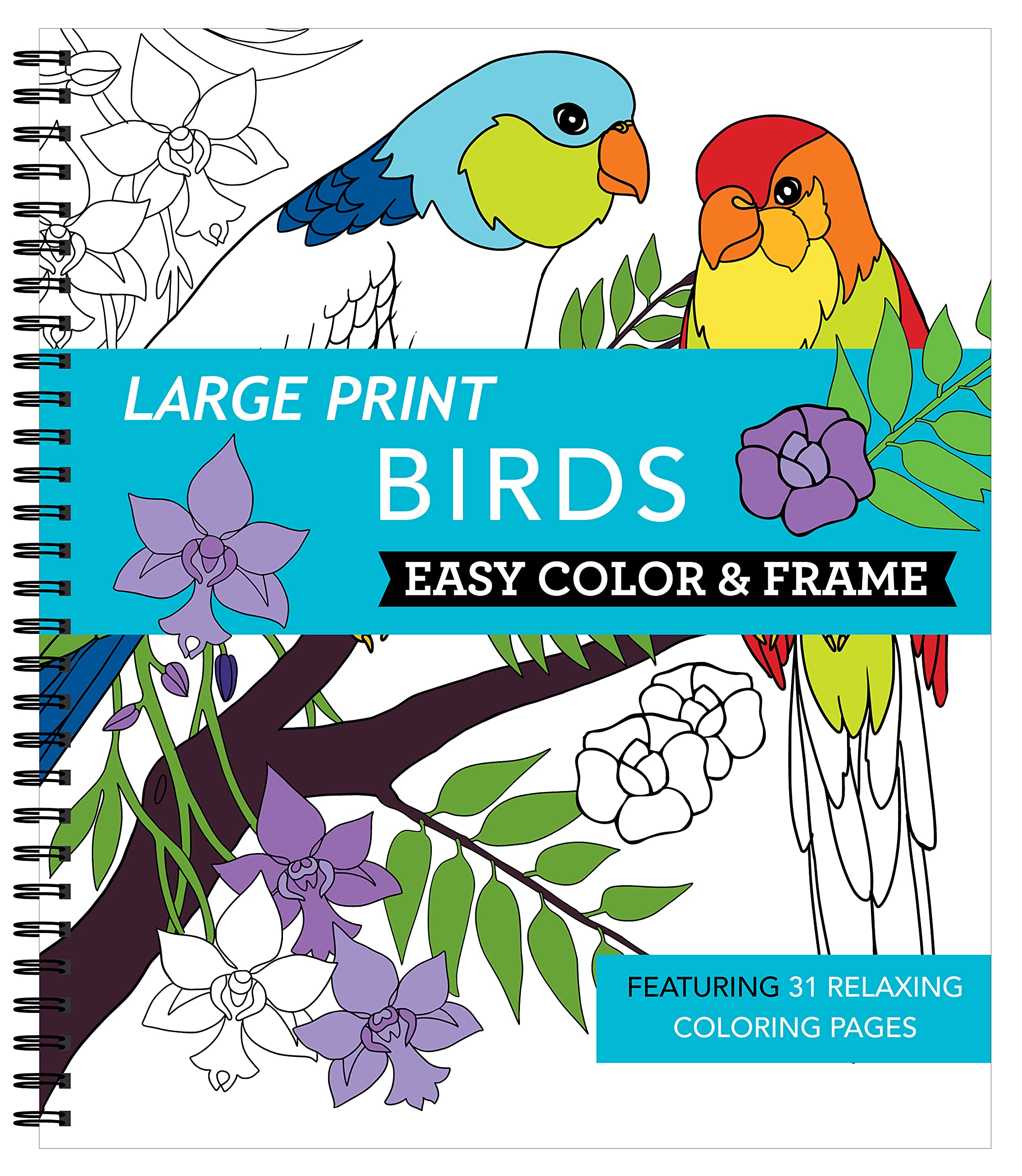 Large Print Easy Color & Frame  Birds (Stress Free Coloring Book)