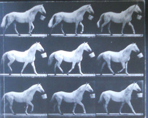 Motion and Document Sequence and Time: Eadweard Muybridge and Contemporary American Photography,Used