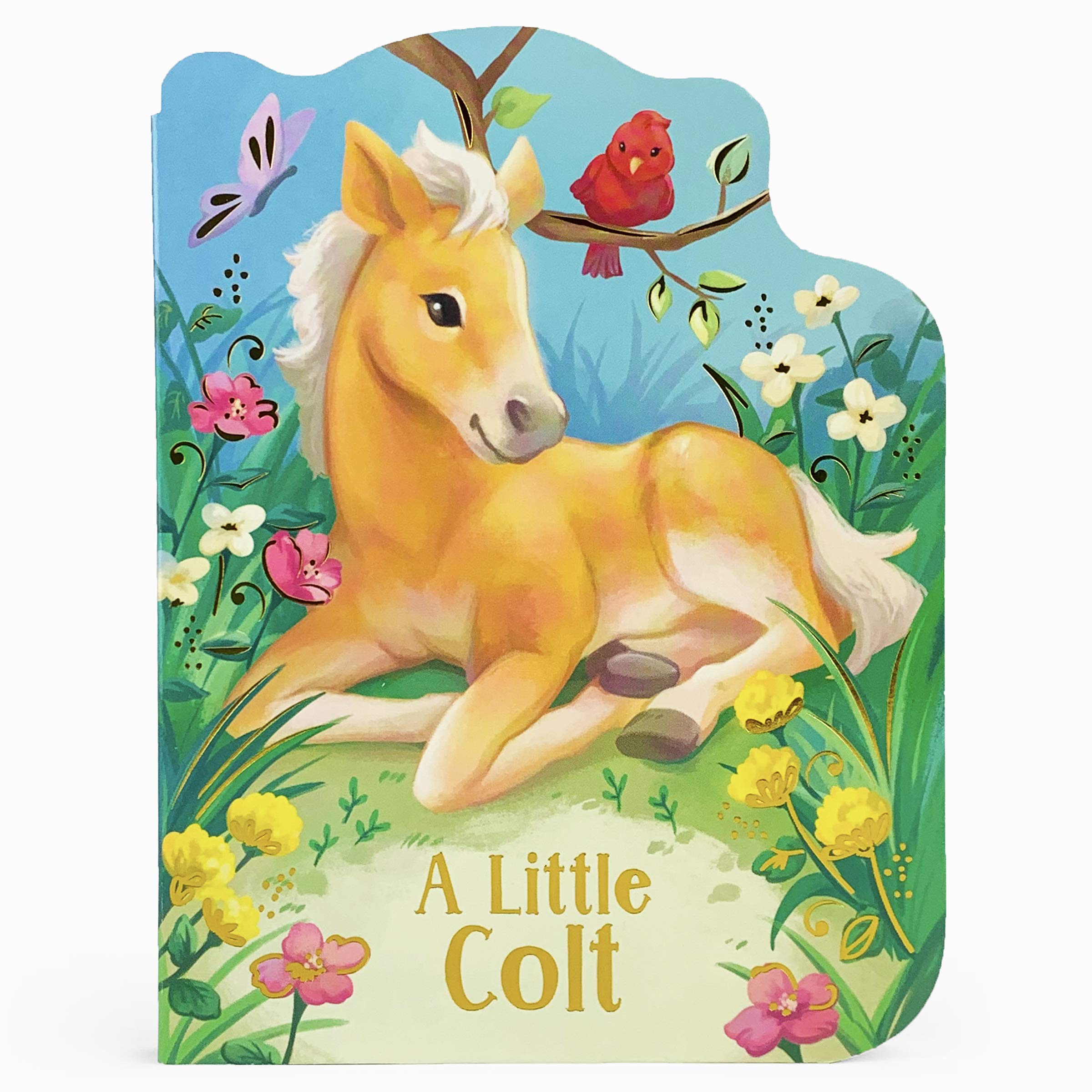 A Little Colt: A Baby Horse Board Book Story,New