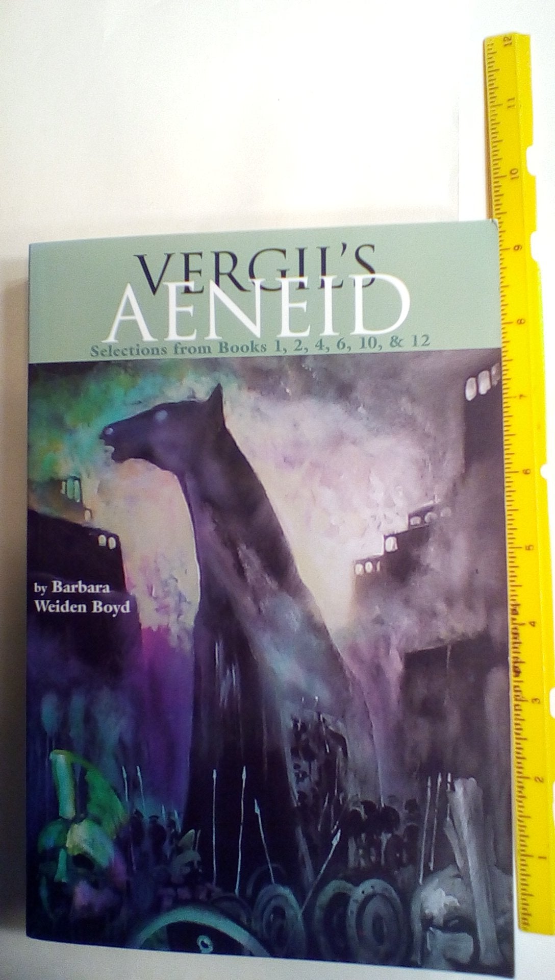 Vergil's Aeneid: Selections from Books 1, 2, 4, 6, 10, and 12,Used