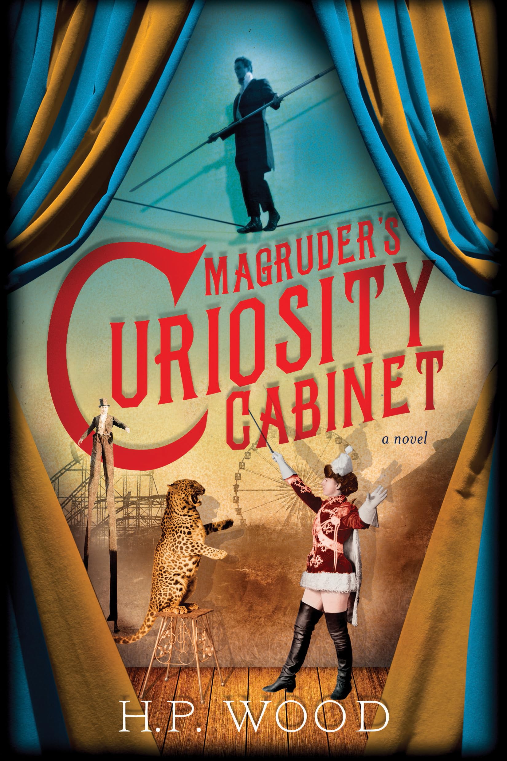 Magruder's Curiosity Cabinet: A Novel,Used