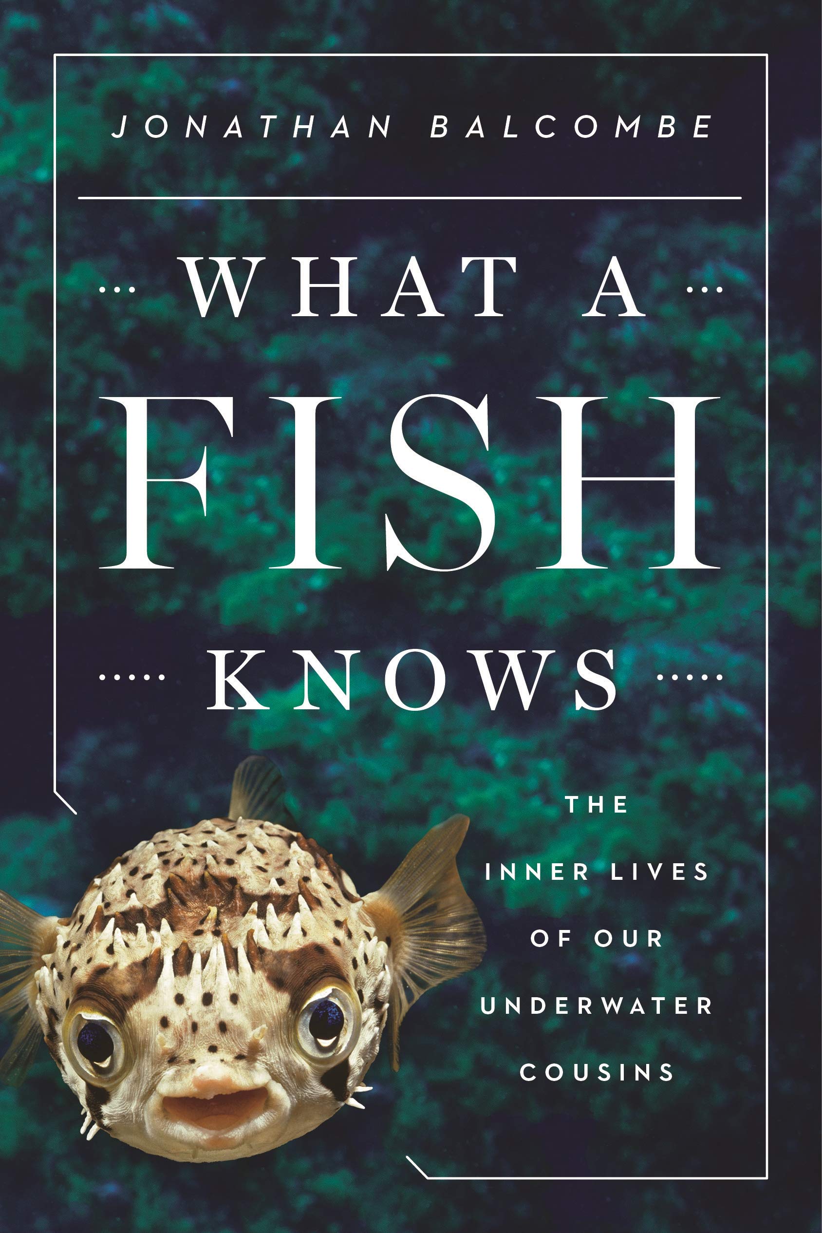 What A Fish Knows: The Inner Lives Of Our Underwater Cousins