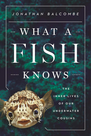 What A Fish Knows: The Inner Lives Of Our Underwater Cousins