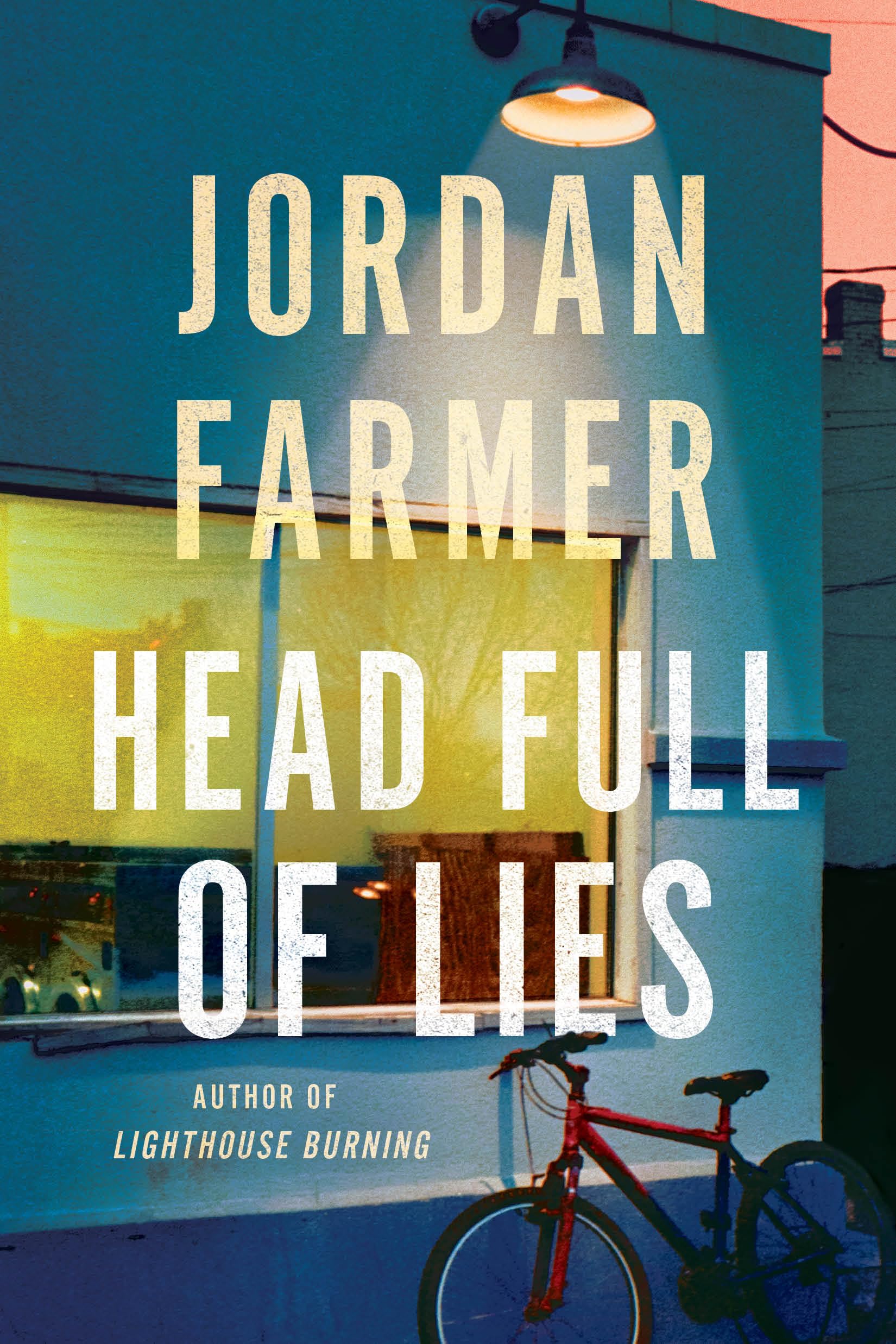 Head Full of Lies (Harlan Winter),New