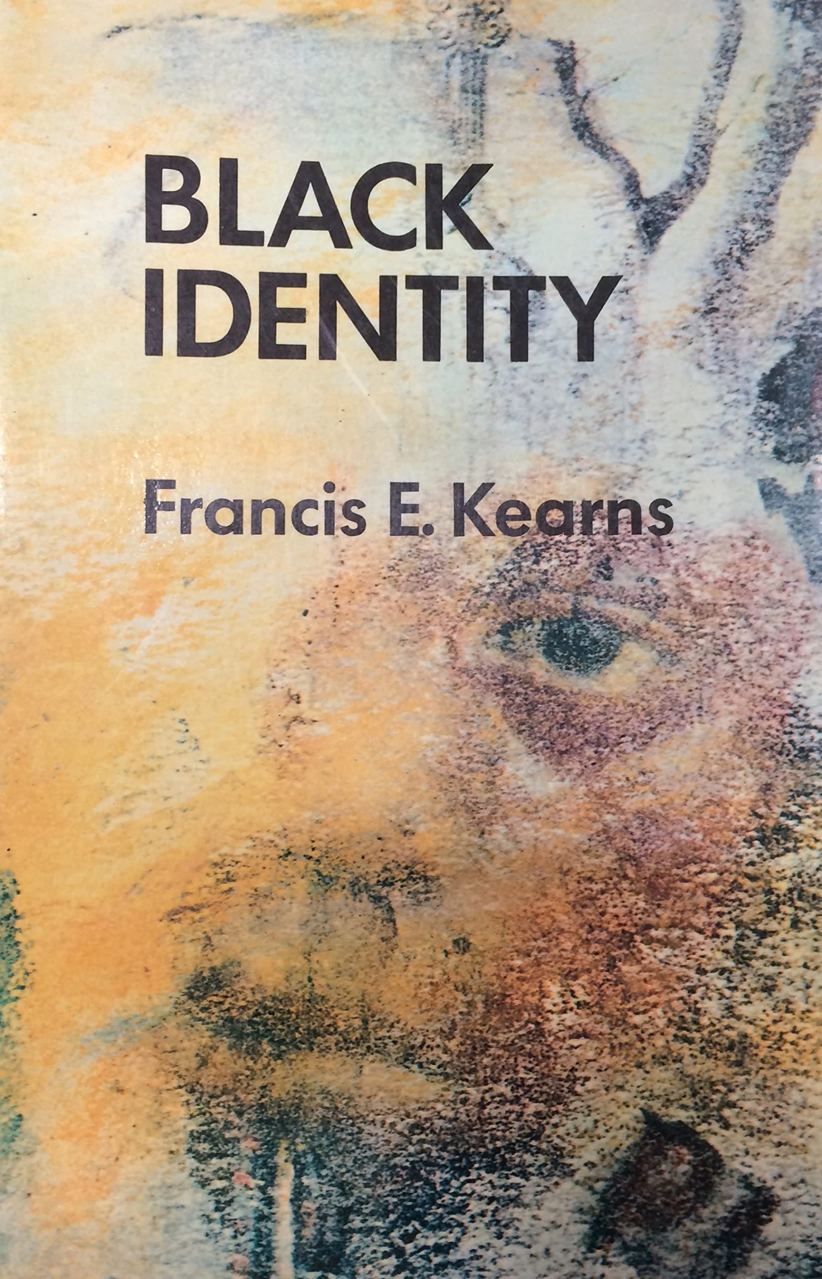 Black Identity: A Thematic Reader,Used