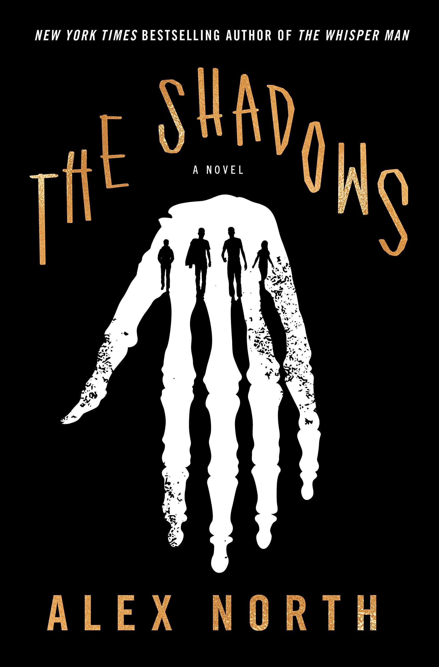 The Shadows: A Novel,New