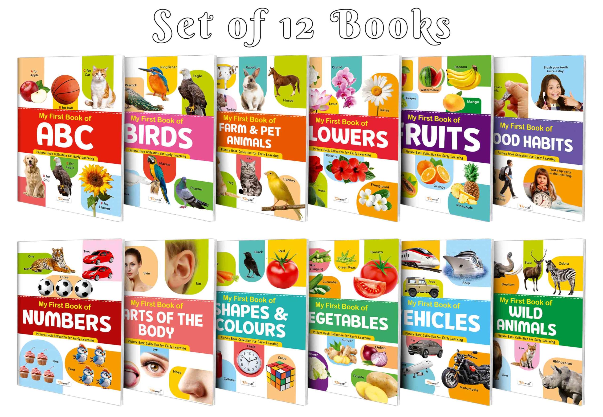 My First Picture Book Collection For Early Learning With 12 Topics (Waterproof, Dust-Resistant, Big Fonts, Laminated, Realistic Pictures) | Gift Set For Kids
