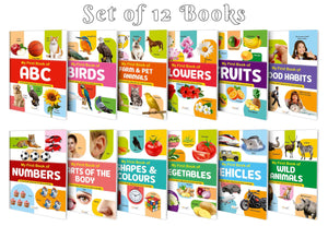 My First Picture Book Collection For Early Learning With 12 Topics (Waterproof, Dust-Resistant, Big Fonts, Laminated, Realistic Pictures) | Gift Set For Kids