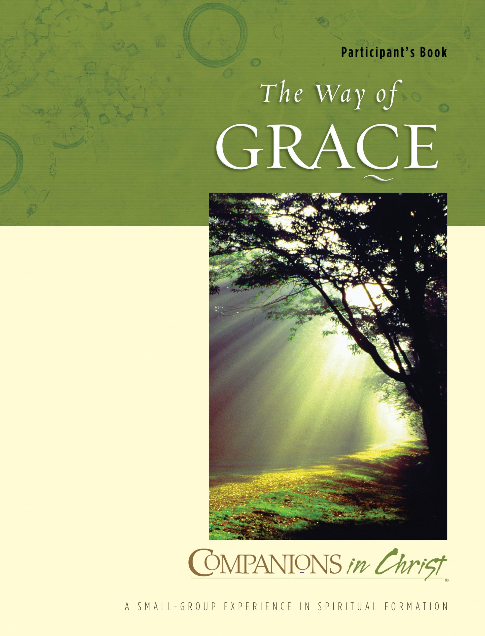 Companions in Christ The Way of Grace: A SmallGroup Experiance in Spiritual Formation (Participant's Book),Used