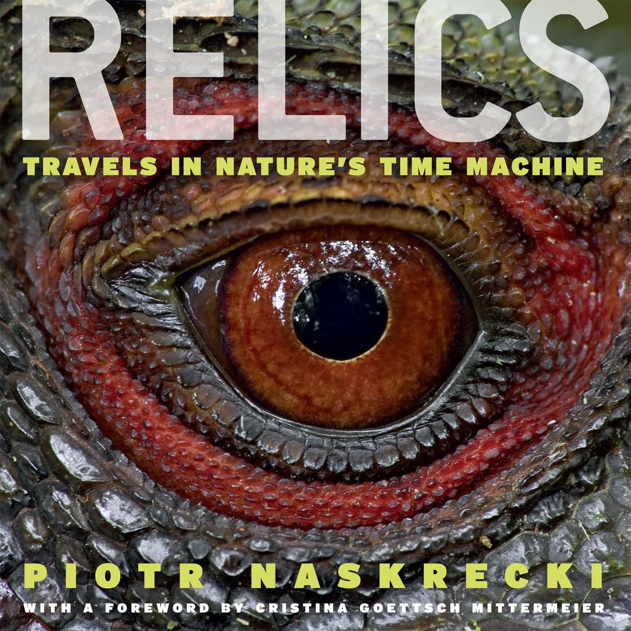 Relics: Travels in Nature's Time Machine,New