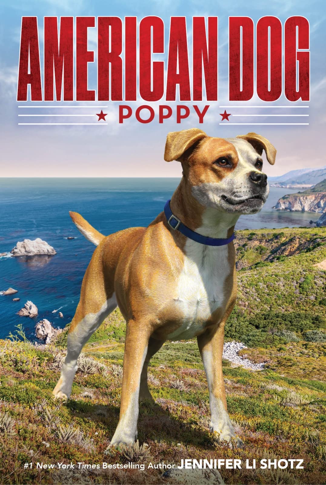 Poppy (American Dog),Used