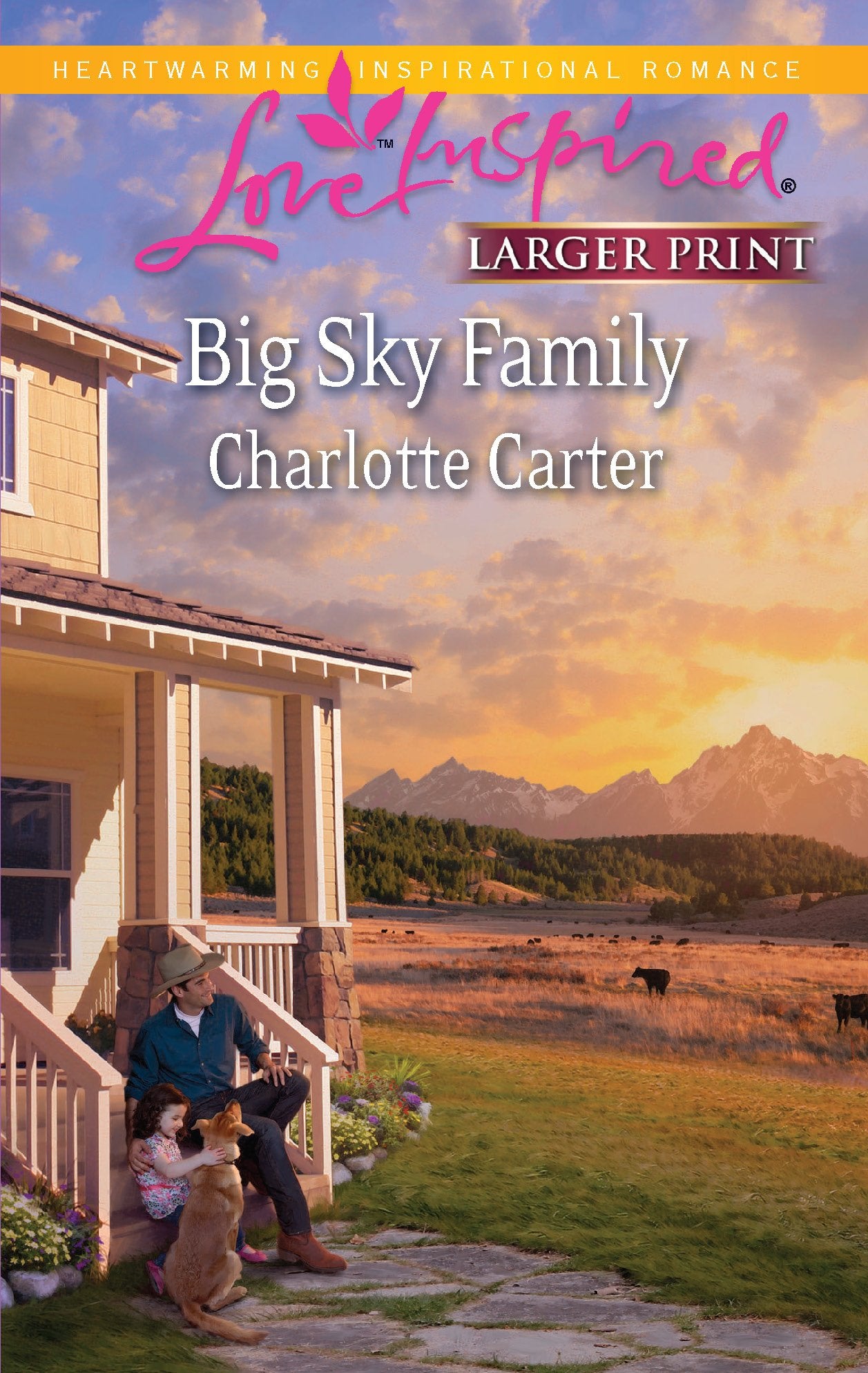 Big Sky Family (Love Inspired),Used