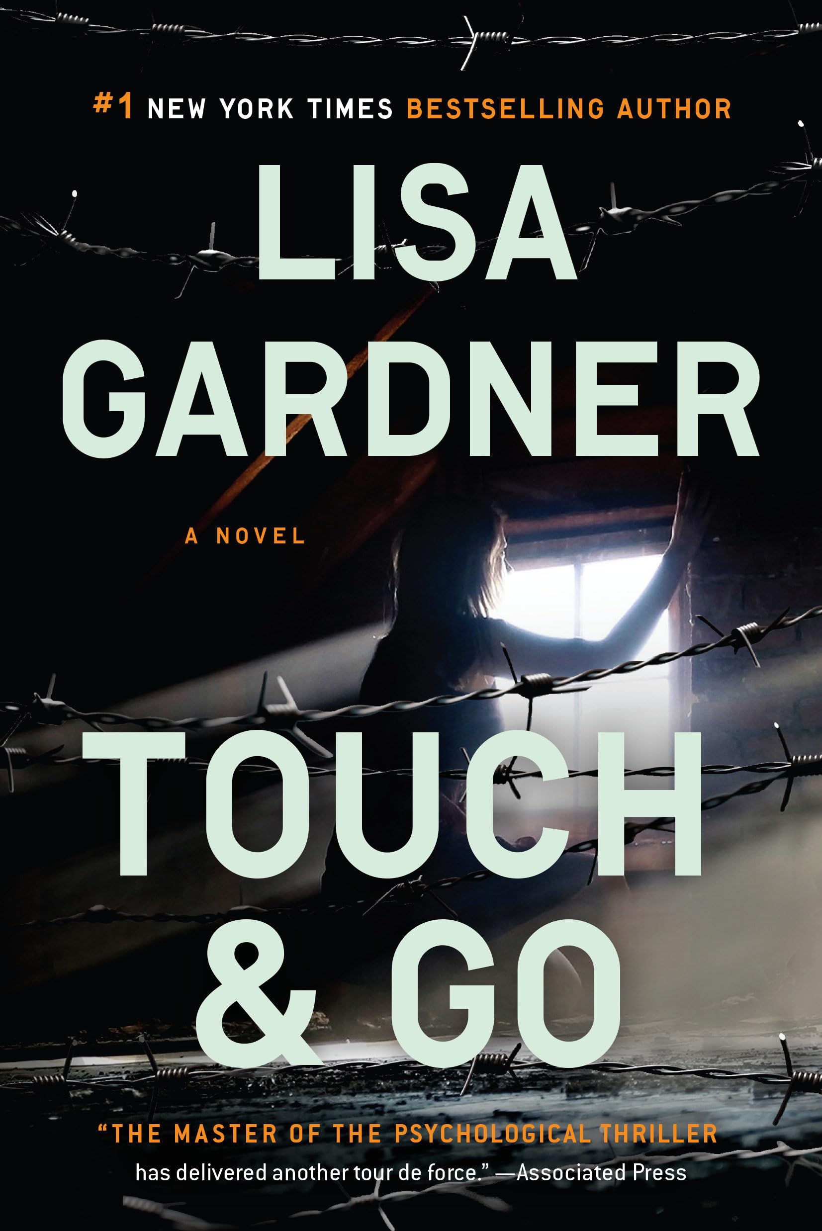 Touch & Go (Detective D. D. Warren)