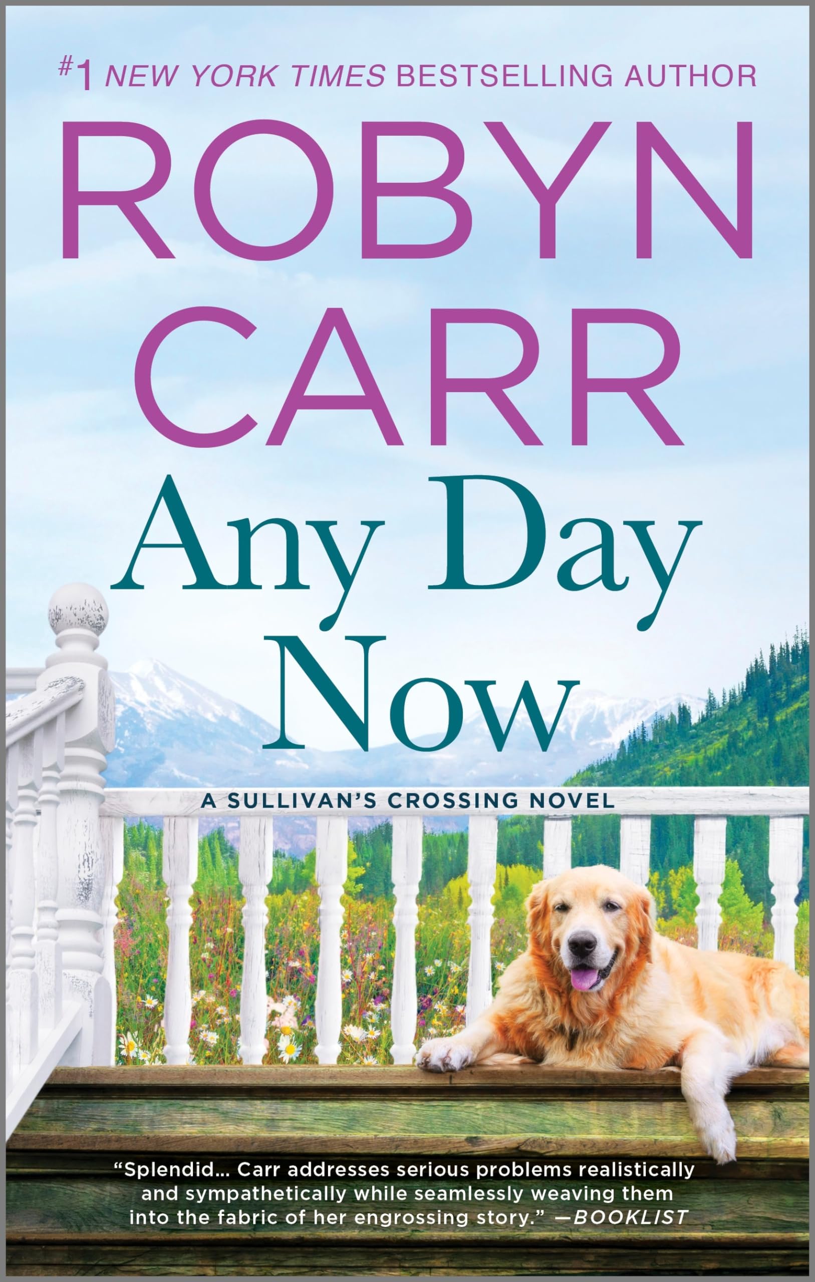 Any Day Now (Sullivan's Crossing, 2),Used