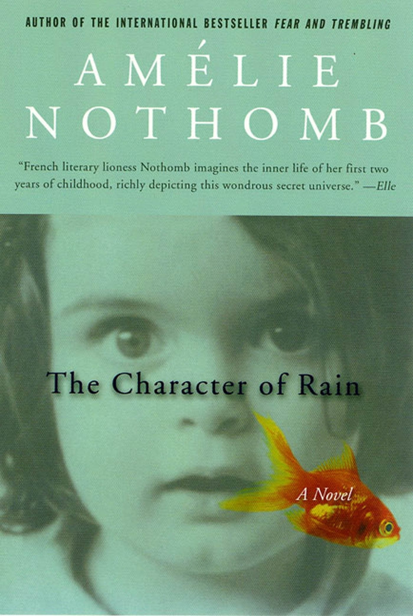 The Character Of Rain: A Novel,Used