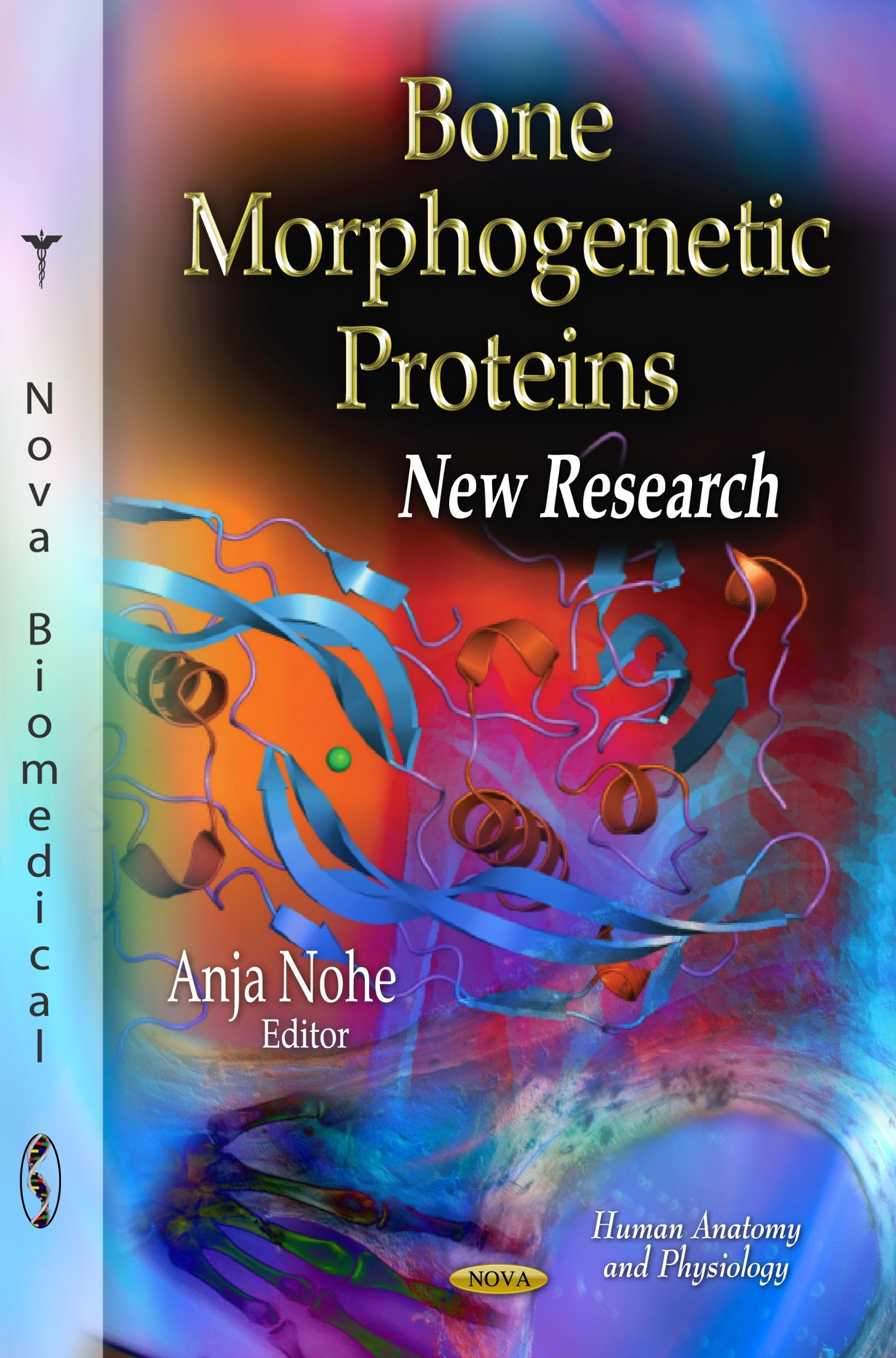 Bone Morphogenetic Proteins: New Research (Human Anatomy And Physiology: Protein Biochemistry, Synthesis, Structure And Cellular,Used